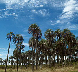 Colón, Entre Ríos